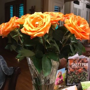 Meet your Posher, Donna